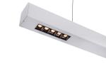 Q-LINE pendellamp 1m BAP zilver 1xLED 3000K