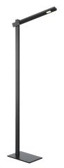 MECANICA PLUS staande lamp zwart 1xLED 2700-6500K zwart img