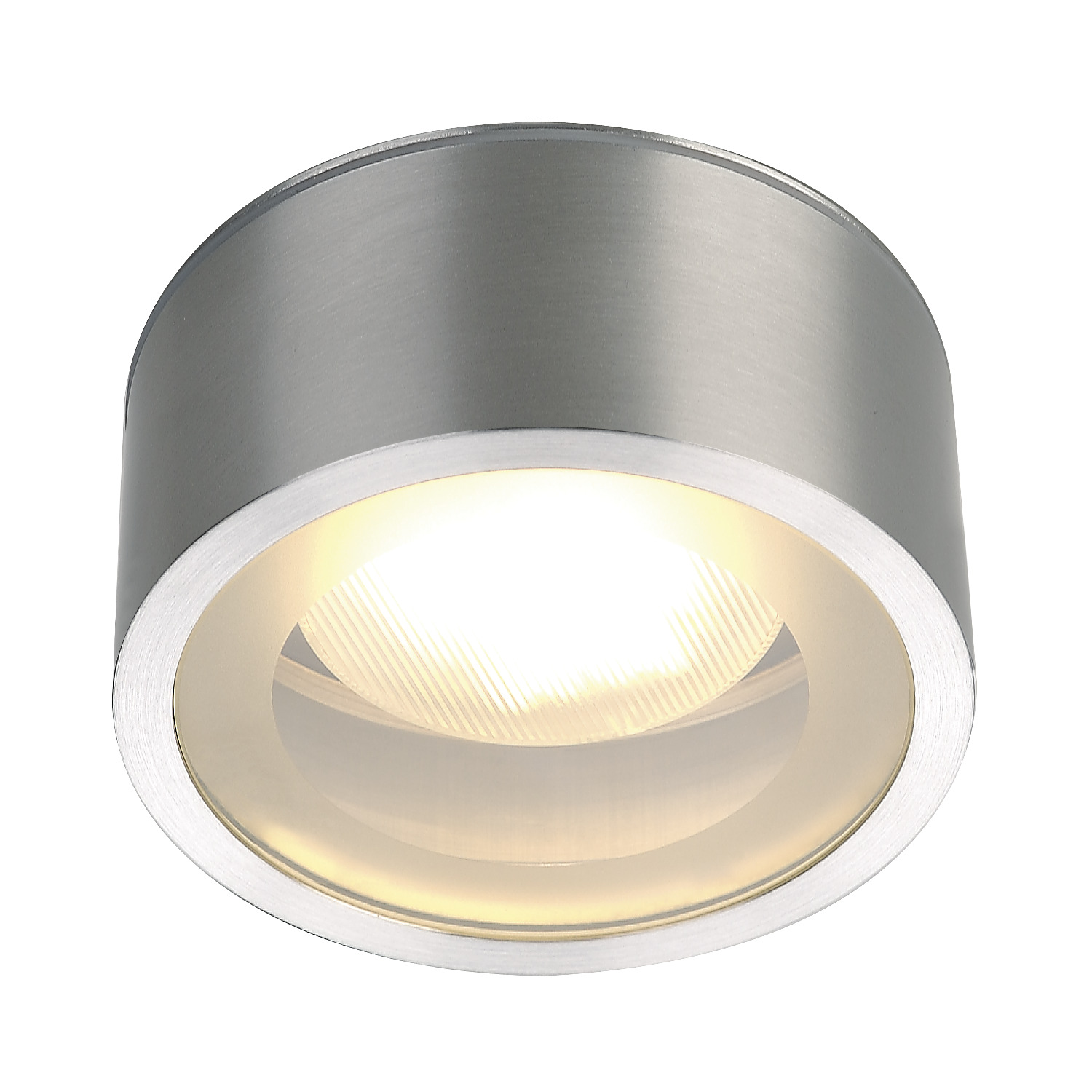 ROX CEILING OUT TCR-TSE, outdoor takarmatur utomhus, borstad alumi - SLV | Bellalite