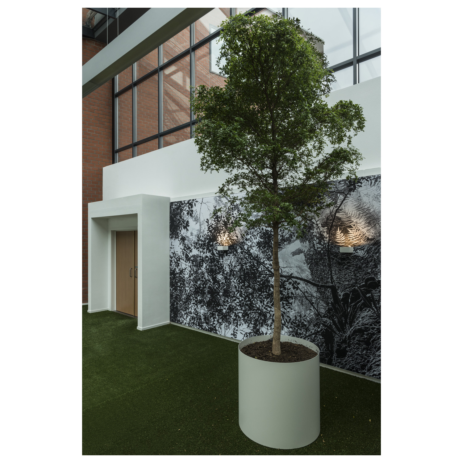 SHELL 15 WL, LED Indoor utanpåliggande väggarmatur, 3000 K, - SLV | Bellalite