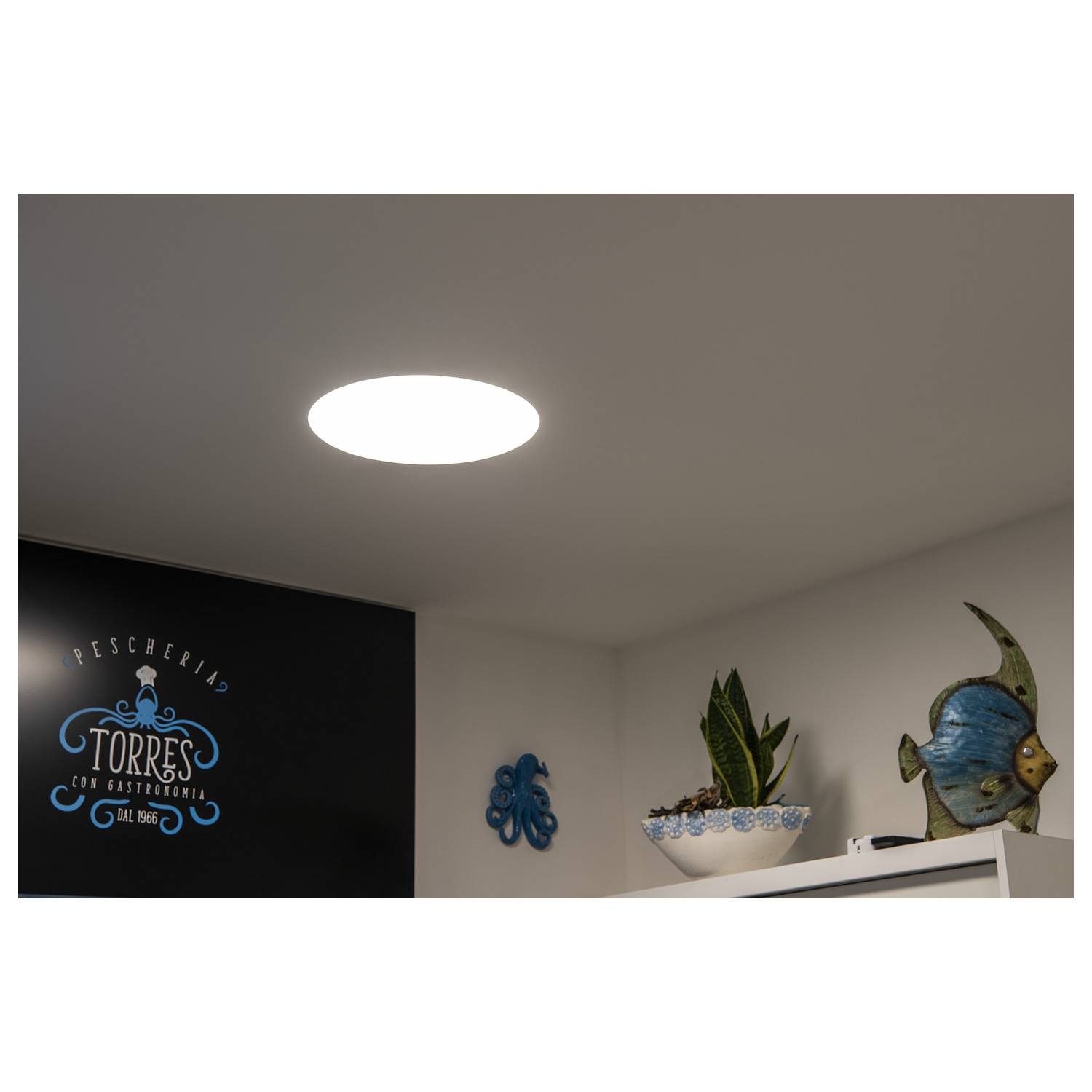 MEDO 60 frameless wit 1xLED 3000/4000K