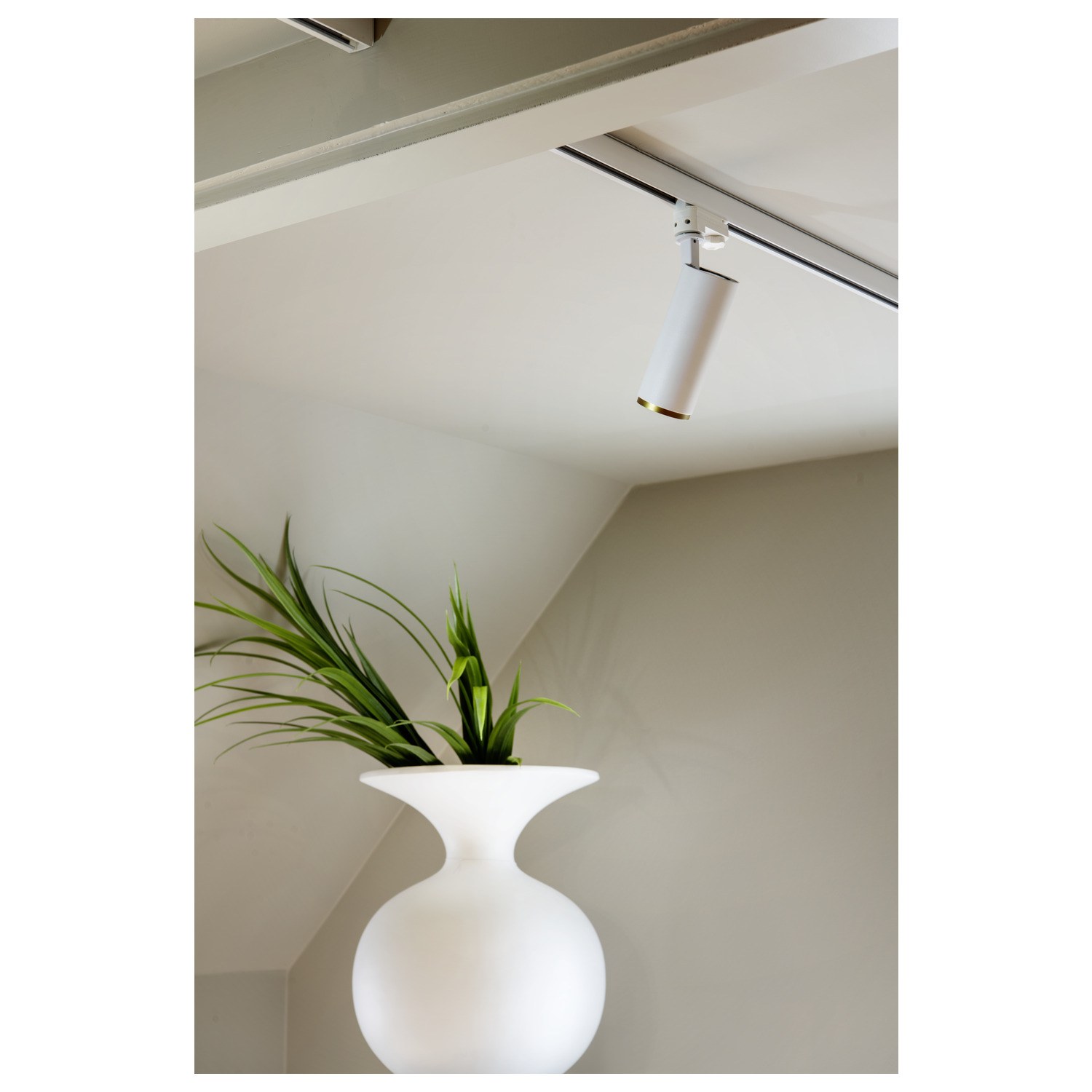 NUMINOS® L Front ring, matt guld - SLV | Bellalite