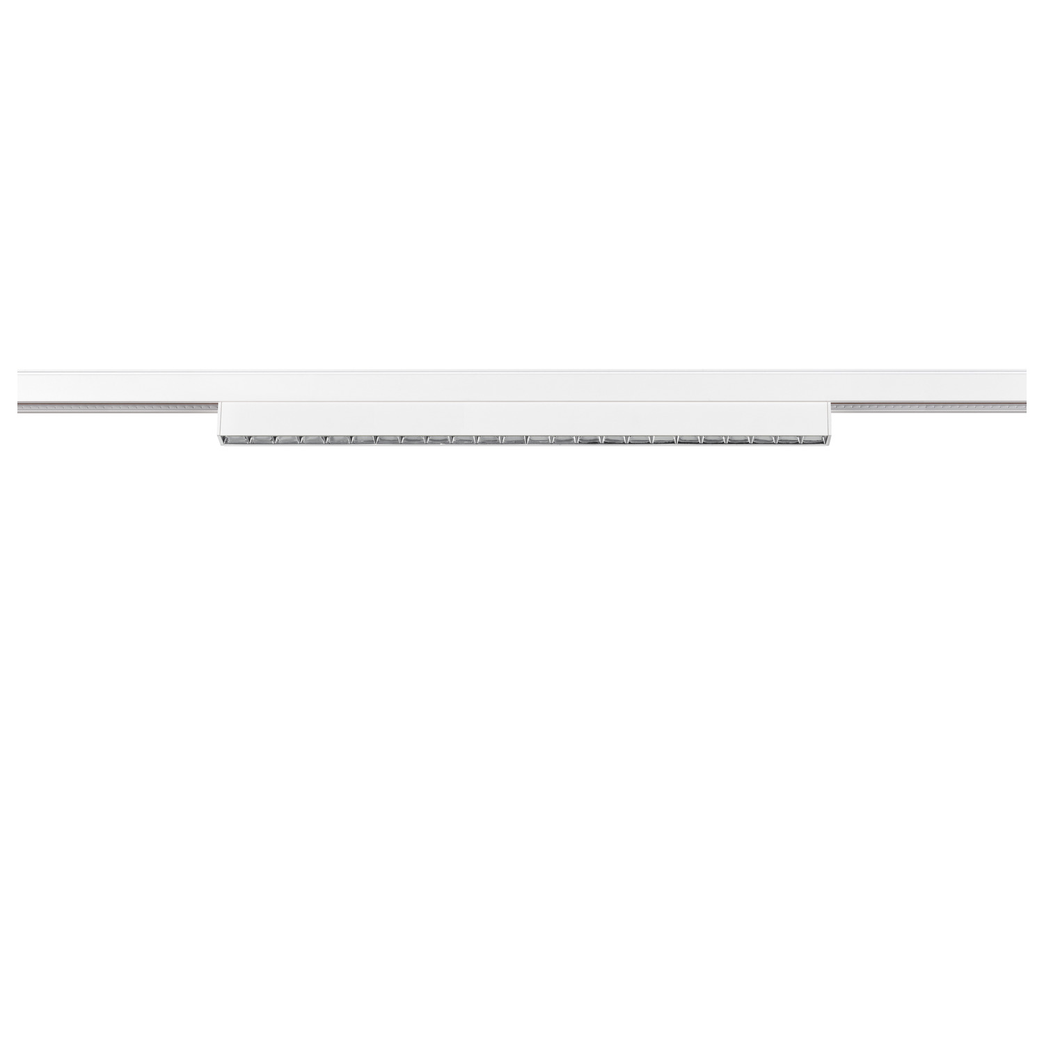 IN-LINE 44 48V TRACK - SLV | Bellalite IN-LINE 44 48V TRACK - SLV | Bellalite