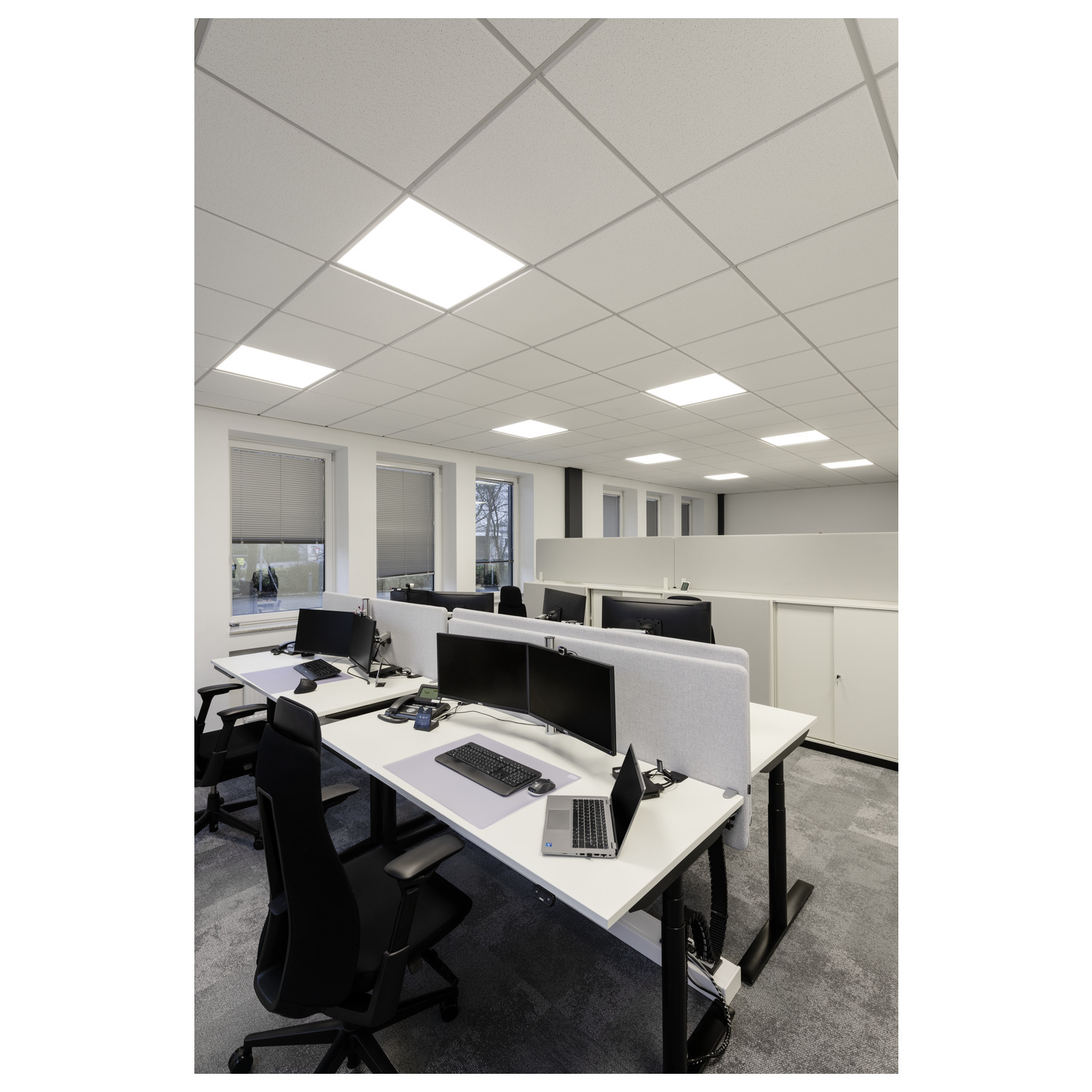 PANEL V DALI 625 34 W 830/840 UGR - SLV | Bellalite