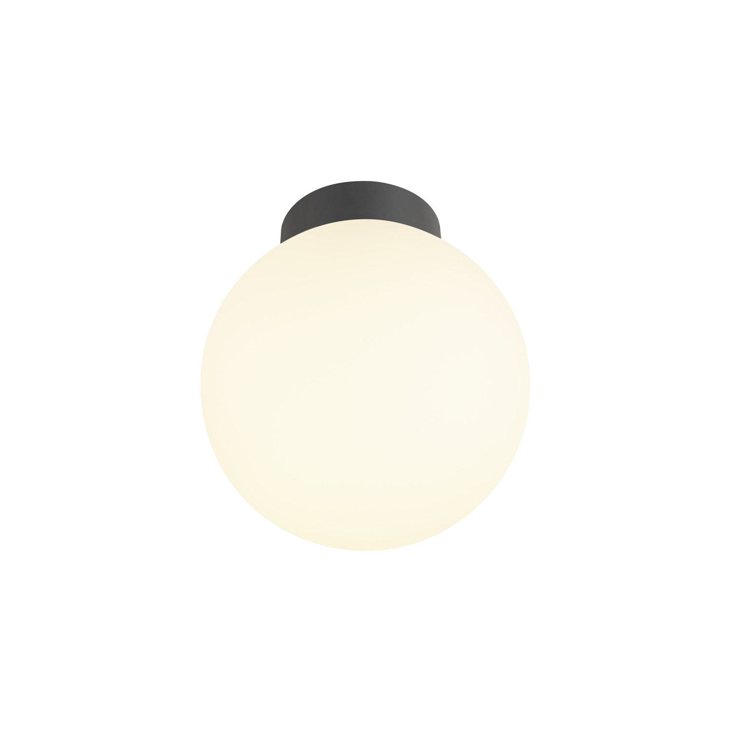 SUN 20 - SLV | Bellalite