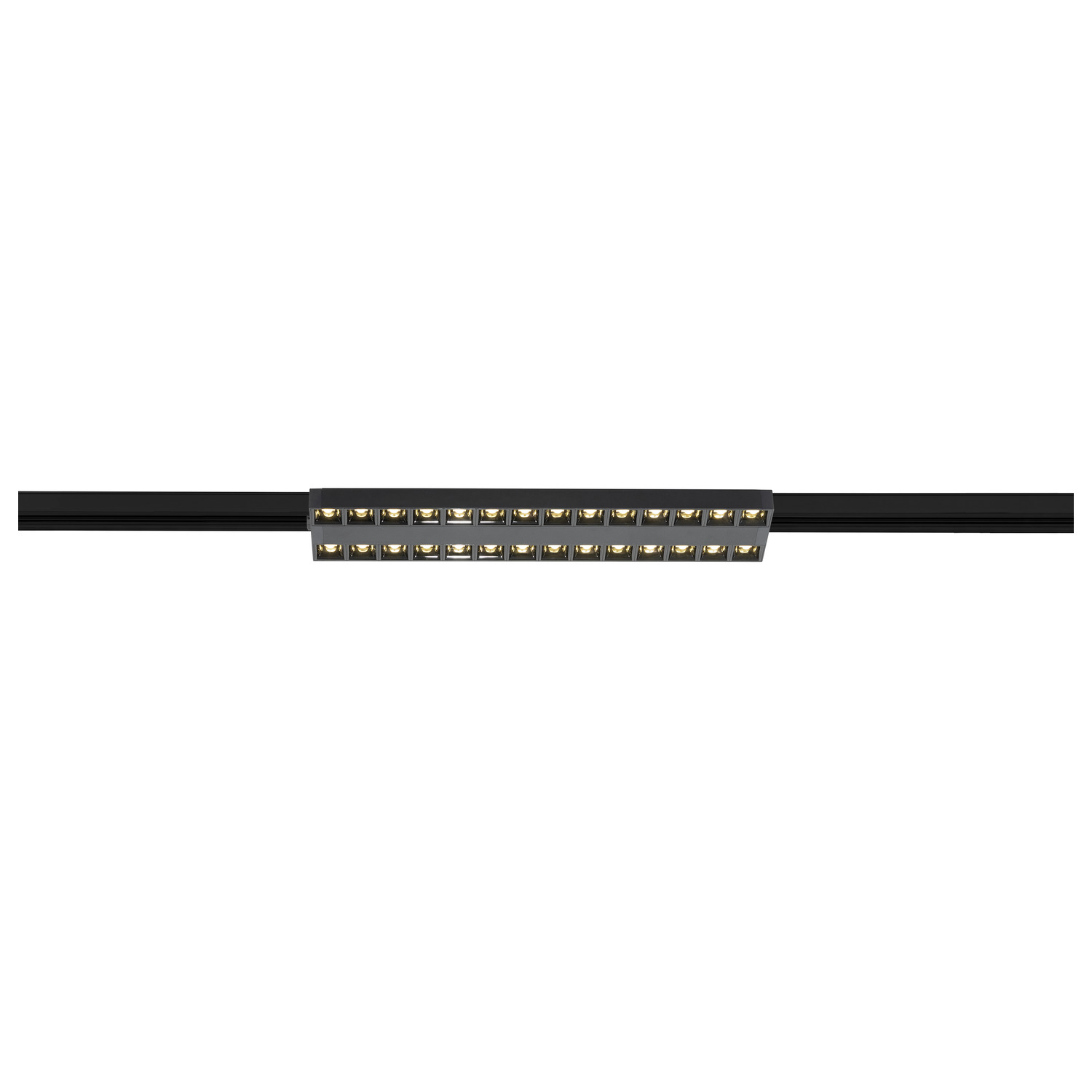 SIGHT EVO - SLV | Bellalite