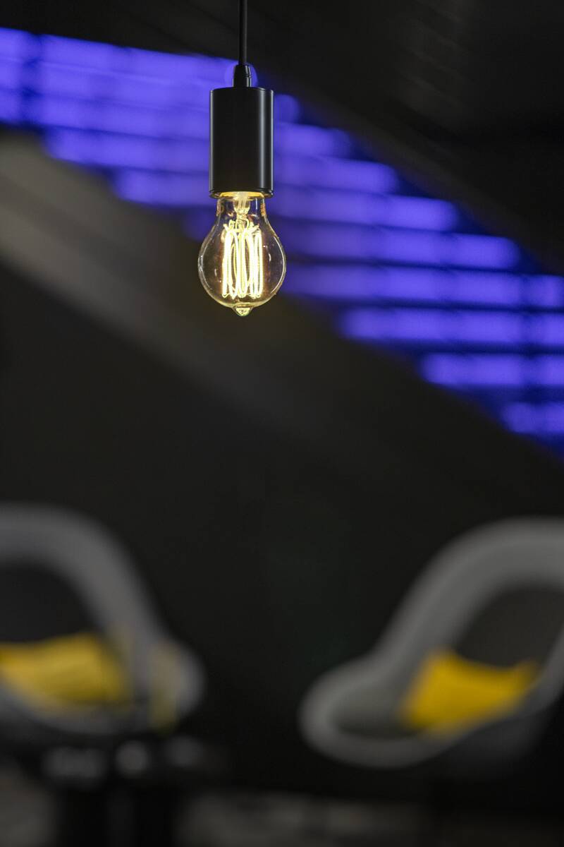 LED A19 Soft Cage