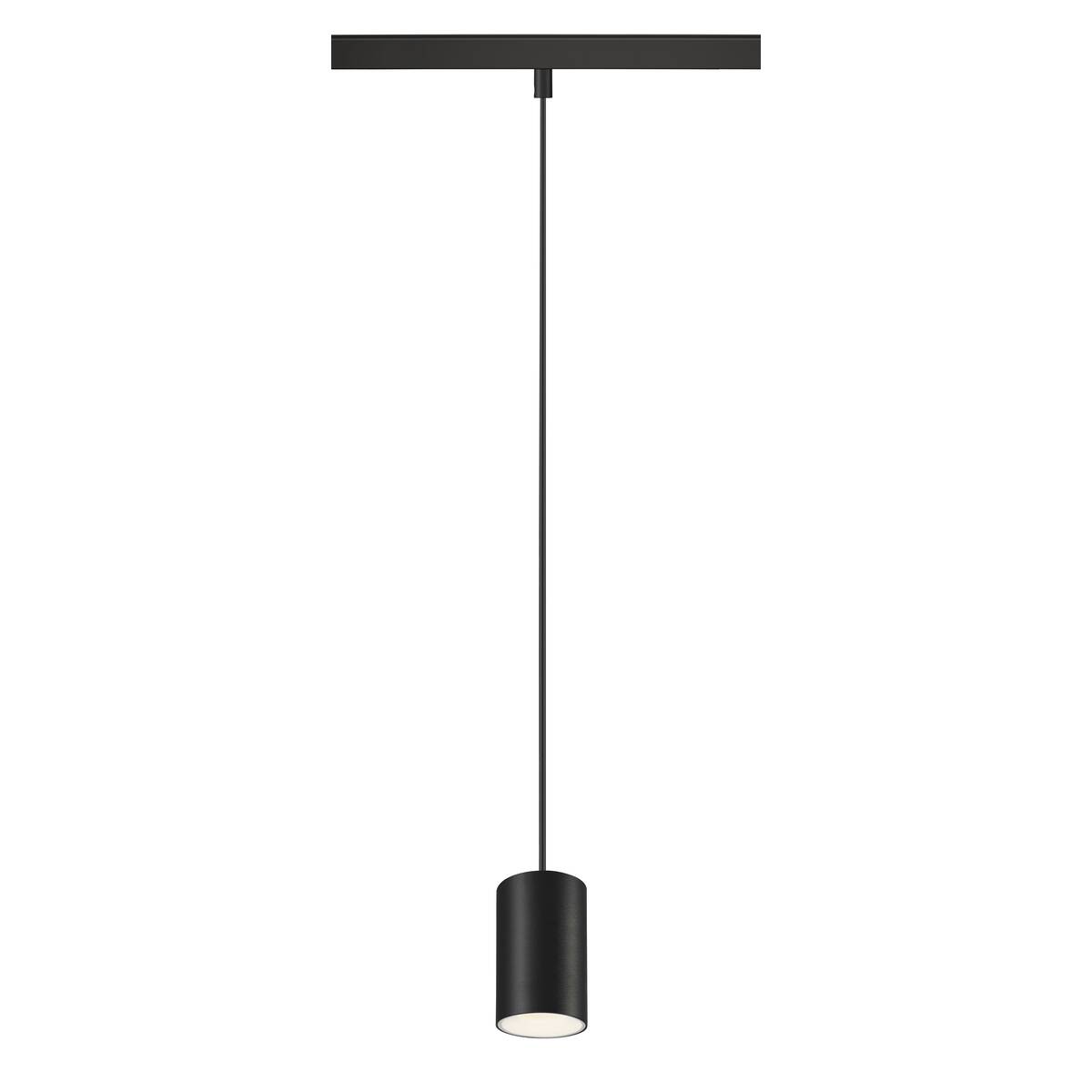 NUMINOS® XS
