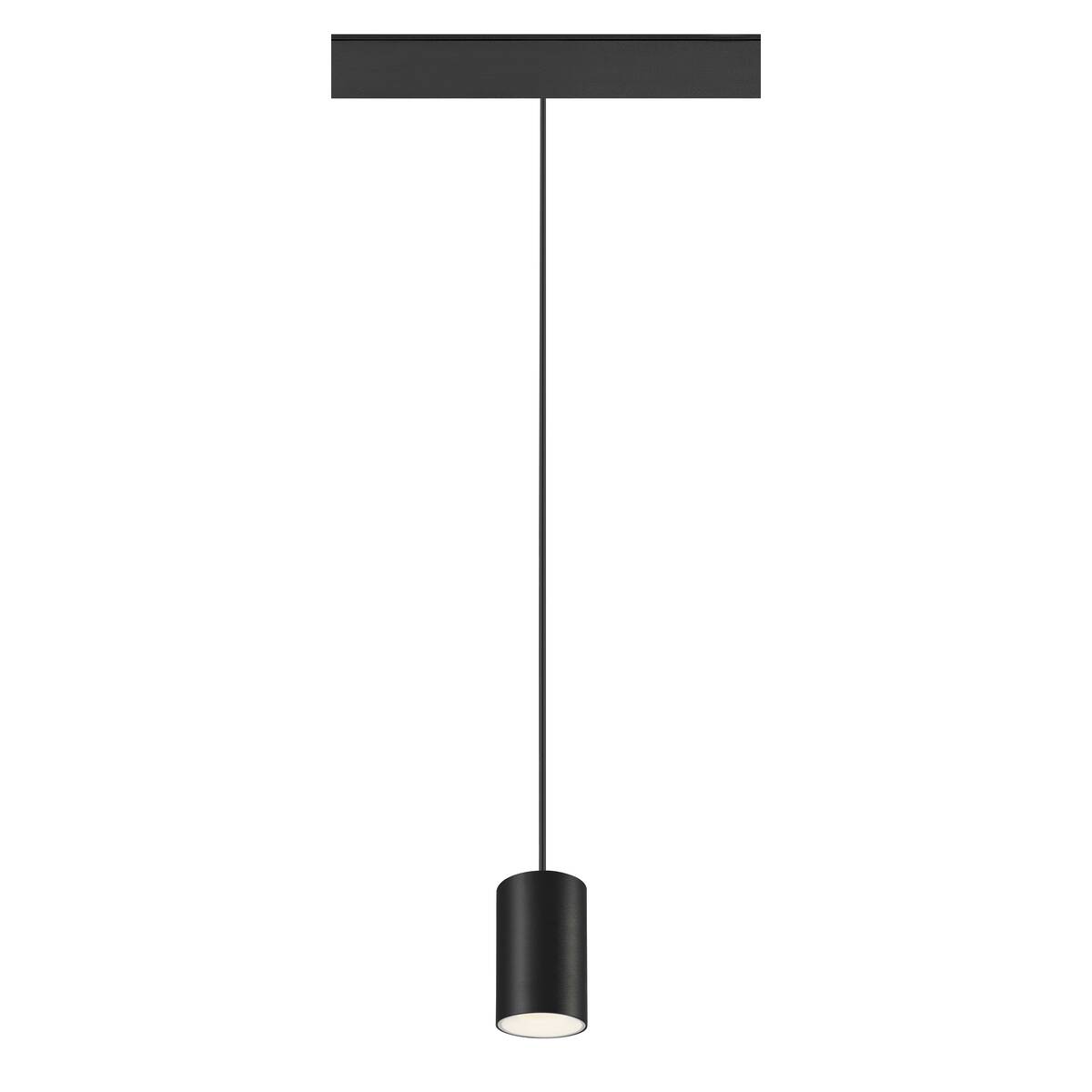 NUMINOS® XS
