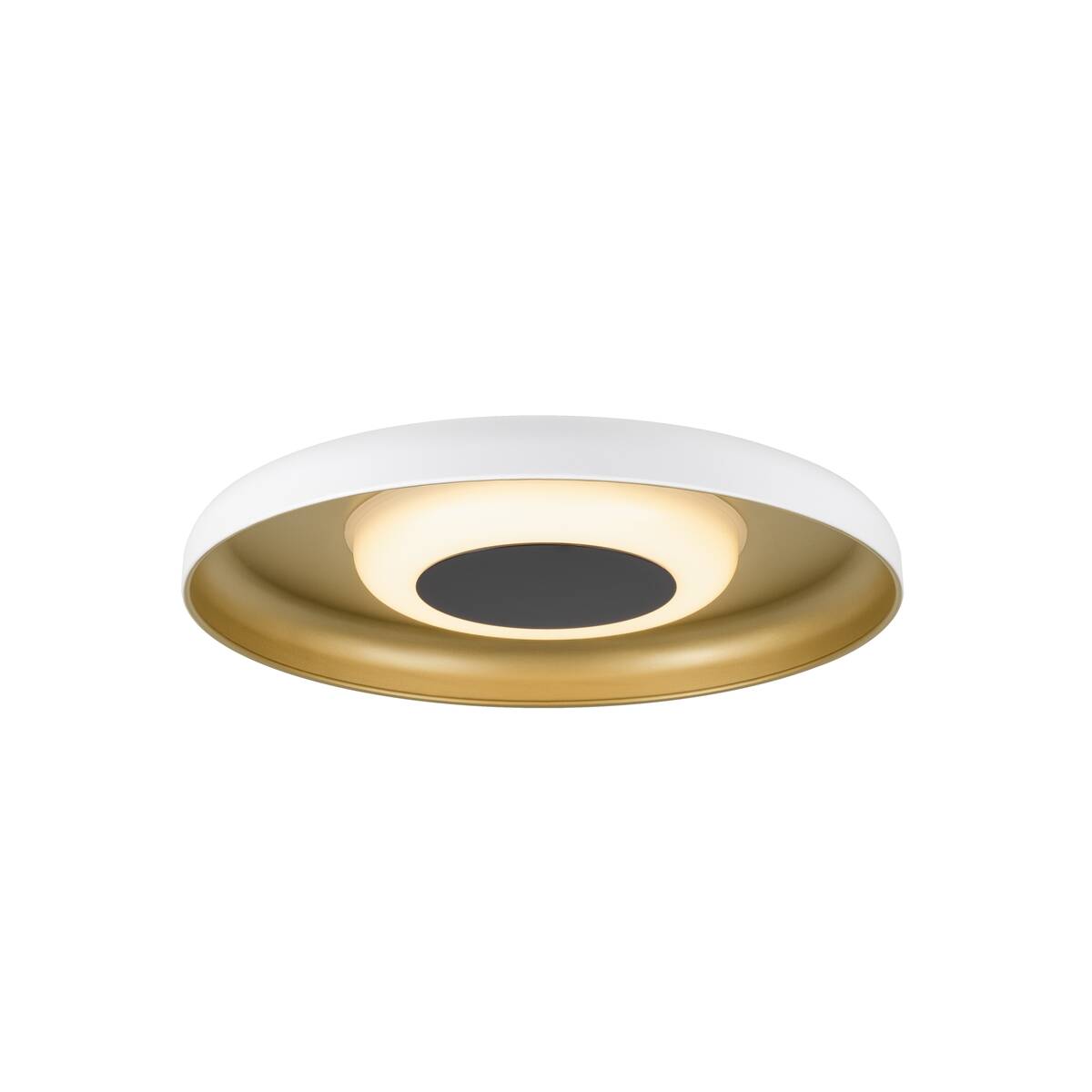 MOTUNA, CW, PHASE, Wand- und Deckenaufbauleuchte, rund, 2700 K, 10 W, 130°, weiß / goldfarben
