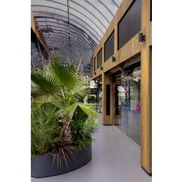 ENOLA ROUND M UP/DOWN