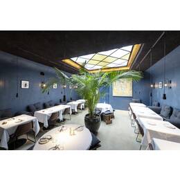 GRAZIA PRO FLEXSTRIP