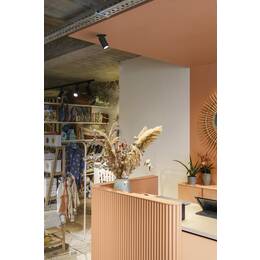 NUMINOS® PROJECTOR S