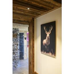 NEW TRIA® UNIVERSAL 68