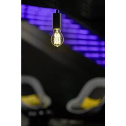 LED A19 Soft Cage