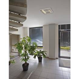 TC INDI 255