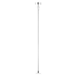 PENDELOPHANGING